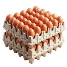 egg.webp